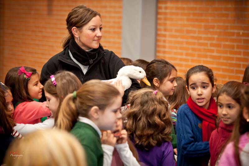 Semana Ciencias en Los Tilos